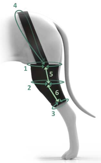 obrázek měření kol.ort.